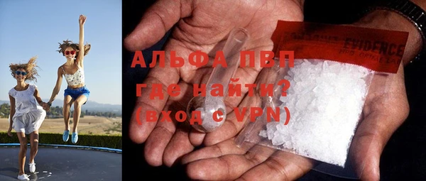 ГАЛЛЮЦИНОГЕННЫЕ ГРИБЫ Осташков