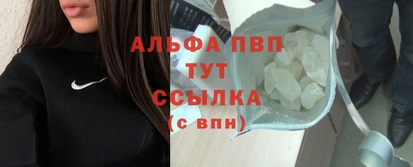 ГАЛЛЮЦИНОГЕННЫЕ ГРИБЫ Осташков