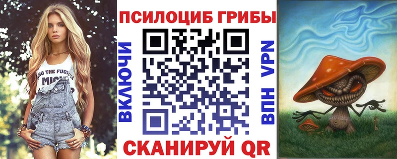дарнет шоп  Емва  Псилоцибиновые грибы GOLDEN TEACHER 